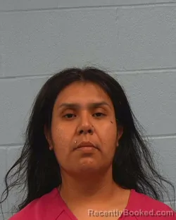 Mugshot of Samantha Rene Luna booked in Williamson County, Texas on April 4, 2026