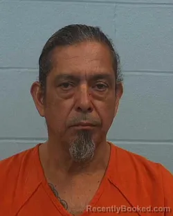 Booking photo from Williamson County, Texas