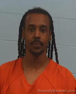 Booking photo from Williamson County, Texas