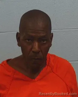 Booking photo from Williamson County, Texas