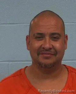 Booking photo from Williamson County, Texas