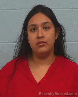 Mugshot of Chelsea Chantal Rosas booked in Williamson County, Texas on April 17, 2026