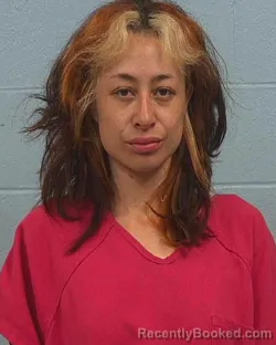 Booking photo from Williamson County, Texas