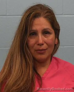 Mugshot of YINIBA CASTILLO ROSS booked in Williamson County, Texas on May 10, 2026