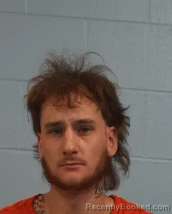 Mugshot of Tanner Joseph Mcgehee booked in Williamson County, Texas on May 11, 2026