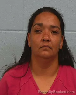 Mugshot of Stephanie Tony Alba booked in Williamson County, Texas on May 12, 2026
