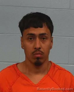Mugshot of William Vladimir Hernandez booked in Williamson County, Texas on May 13, 2026