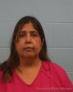 Mugshot of Tanya Gehani booked in Williamson County, Texas on May 15, 2026