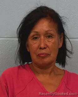 Mugshot of Pauline Guzman Gebhard booked in Williamson County, Texas on May 16, 2026