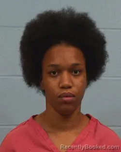 Booking photo from Williamson County, Texas