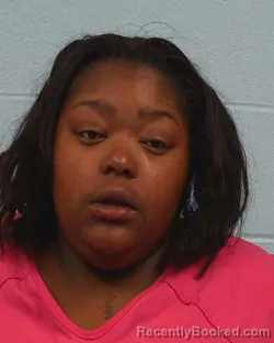Booking photo from Williamson County, Texas