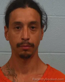 Booking photo from Williamson County, Texas