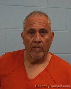 Booking photo from Williamson County, Texas