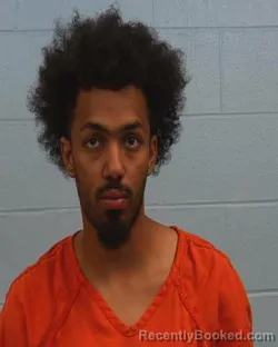 Booking photo from Williamson County, Texas