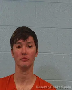 Booking photo from Williamson County, Texas