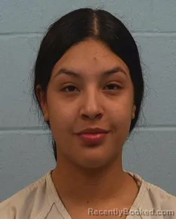 Mugshot of Albany Alexandra Silveira Rojas booked in Williamson County, Texas on June 4, 2026