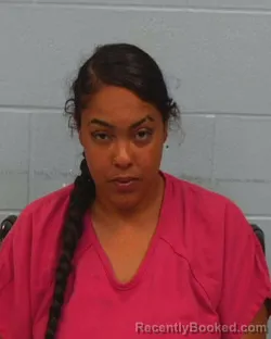 Booking photo from Williamson County, Texas