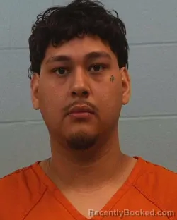Booking photo from Williamson County, Texas