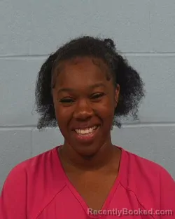 Booking photo from Williamson County, Texas