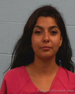 Mugshot of Arianna Marie Ledesma booked in Williamson County, Texas on June 17, 2026