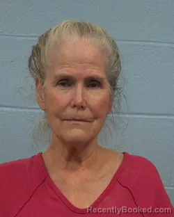 Mugshot of Deborah Lee Wimbish booked in Williamson County, Texas on June 17, 2026