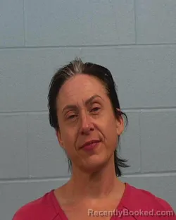 Mugshot of Crystal Renee Fowler booked in Williamson County, Texas on June 18, 2026