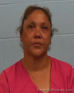 Mugshot of Yordanka Bellido Deluna booked in Williamson County, Texas on June 21, 2026