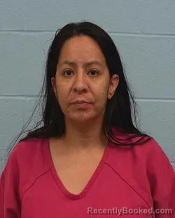Mugshot of Patricia Abigail Lagunas booked in Williamson County, Texas on June 22, 2026
