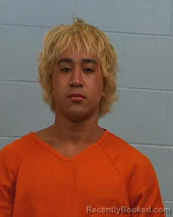 Mugshot of Reece Uy Ababao booked in Williamson County, Texas on June 23, 2026