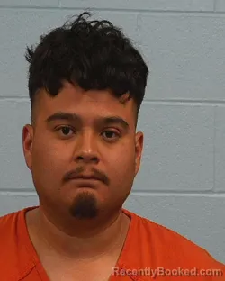 Mugshot of Luis Alfredo Herrera Flores booked in Williamson County, Texas on June 24, 2026