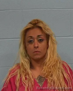 Mugshot of Dannielle Vela booked in Williamson County, Texas on June 24, 2026