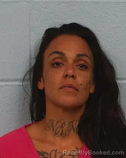 Mugshot of Ashley Diana Gonzales booked in Williamson County, Texas on June 29, 2026