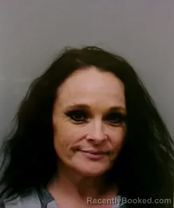 Booking photo from Wise County, Texas