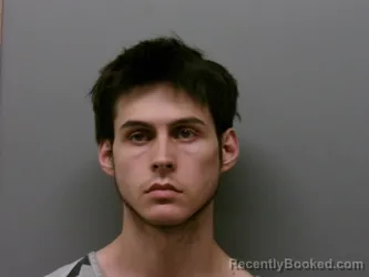 Mugshot of JOSHUA LEE GALLICCHIO