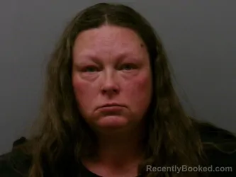 Mugshot of SANDY MICHEAL WILLIAMS