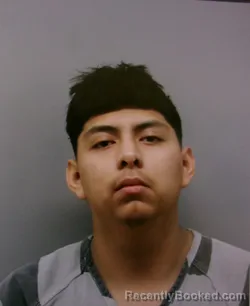 Mugshot of OLIVER AVELINO