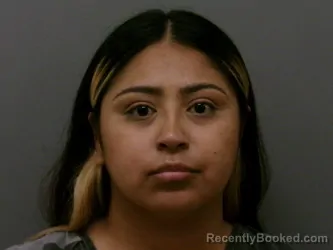 Mugshot of KARLA LUNA booked in Wise County, Texas on March 10, 2026