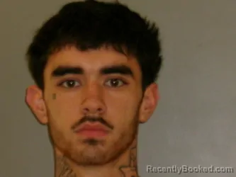 Mugshot of RANGER LEE PLATT