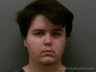 Mugshot of JOHN ANTHONY ELVIN