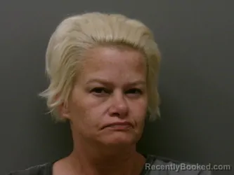 Mugshot of BRANDY LE LOVE booked in Wise County, Texas on March 17, 2026