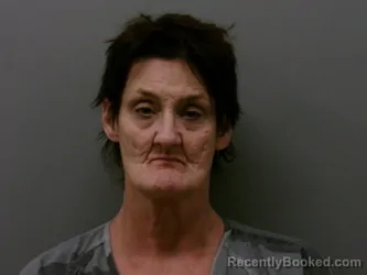 Mugshot of RHONDA LYNN JOLLY booked in Wise County, Texas on March 19, 2026