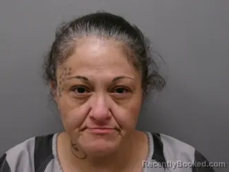 Mugshot of ROSIE ANN MEDINA booked in Wise County, Texas on March 21, 2026