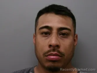 Mugshot of ANGEL NAJERA booked in Wise County, Texas on March 21, 2026