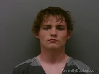 Mugshot of PAYTON MAYNARD booked in Wise County, Texas on March 22, 2026