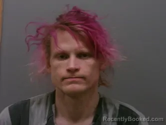 Mugshot of ROBERT EDWARD DANIEL booked in Wise County, Texas on March 22, 2026