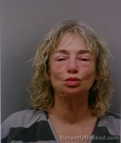 Mugshot of SUMMER OLIVIA WHEELER booked in Wise County, Texas on March 23, 2026