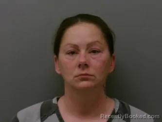 Mugshot of BRANDI N PEREZ booked in Wise County, Texas on March 25, 2026