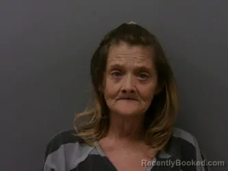 Mugshot of SHEENA GAYLE RODGERS booked in Wise County, Texas on March 25, 2026