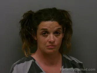 Mugshot of NICOLE LYDELL ALLEY booked in Wise County, Texas on March 27, 2026