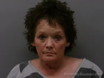 Mugshot of SHERRI LYNN SANDERS booked in Wise County, Texas on March 28, 2026